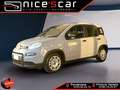 Fiat Panda Panda 1.0 FireFly S&S Hybrid *PROMO* Gris - thumbnail 1