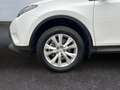 Toyota RAV 4 RAV4 Start Edition/AUTOMATIK/4X4/AHK/TOP/ Weiß - thumbnail 9