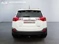 Toyota RAV 4 RAV4 Start Edition/AUTOMATIK/4X4/AHK/TOP/ Weiß - thumbnail 4