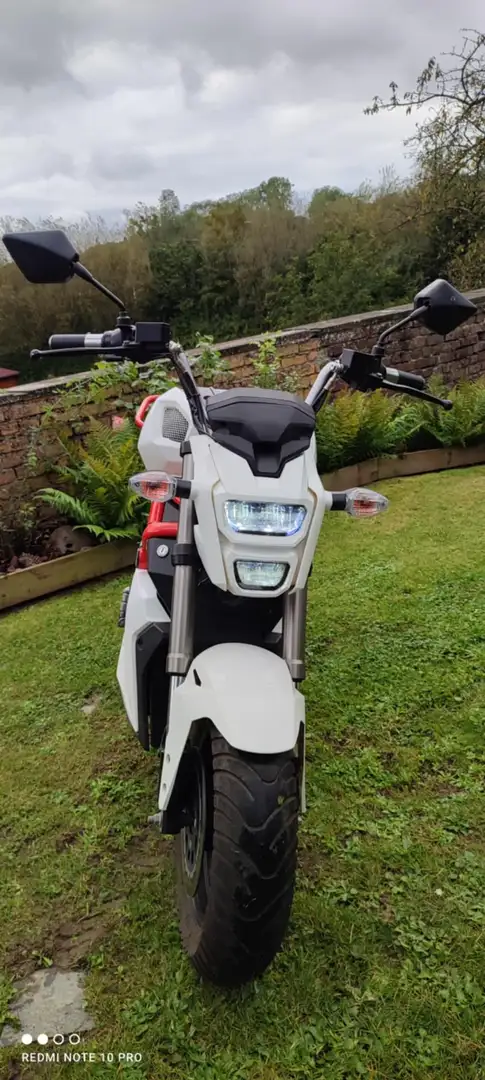 Elektra EV Wolf Blanc - 2