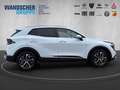 Kia Sportage 1.6 Ultimate Edition Leder ACC 7J.Gar. Weiß - thumbnail 8