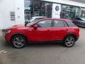 Audi Q2 Audi Q2 1,4l TFSI Sport LED/PANO/TEMPO Rot - thumbnail 15