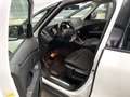 Renault Scenic 1.3 TCe Limited 2e eigenaar carplay stoelverwarmin Wit - thumbnail 10