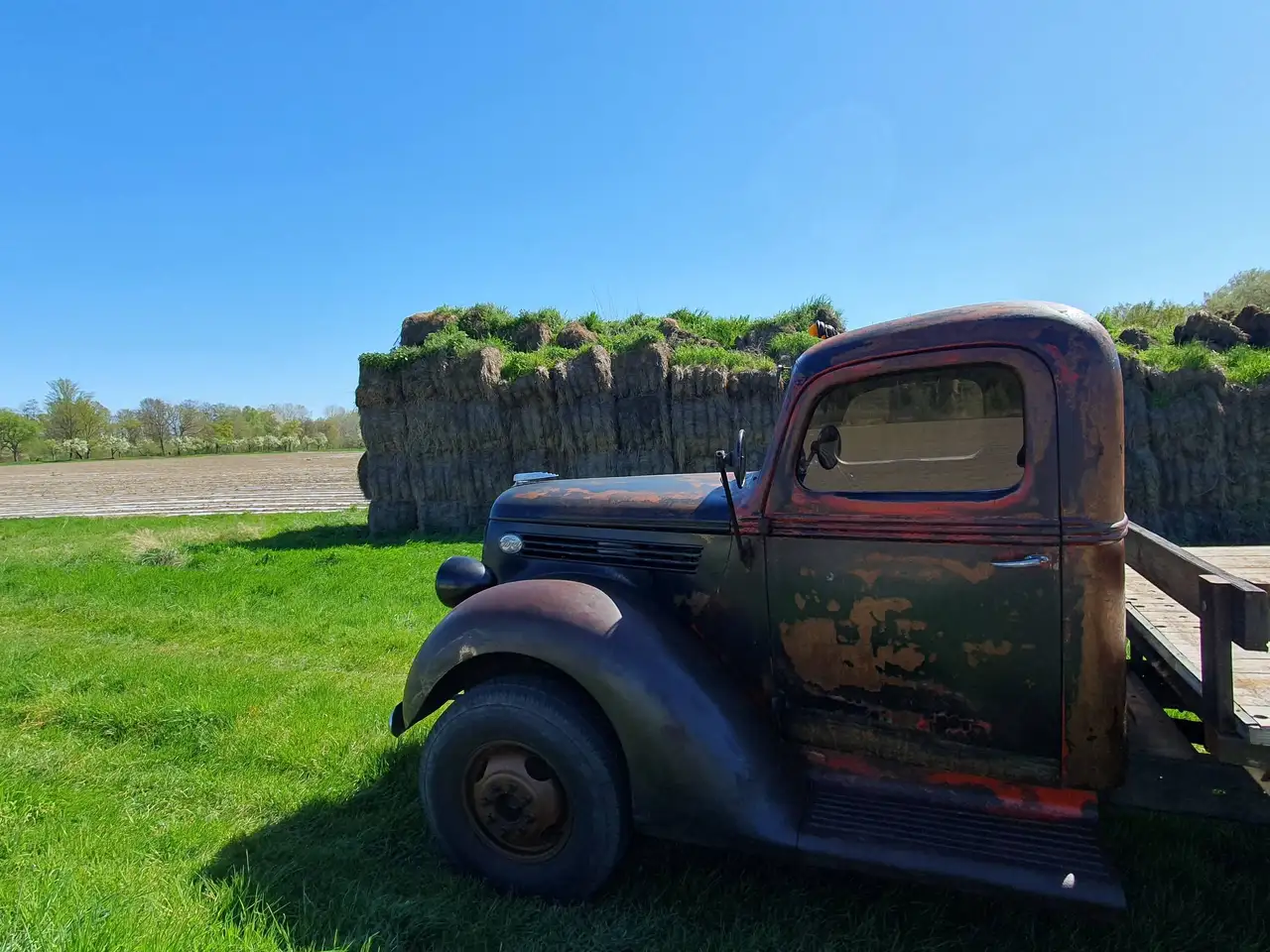Ford F 350 1938, foto 3