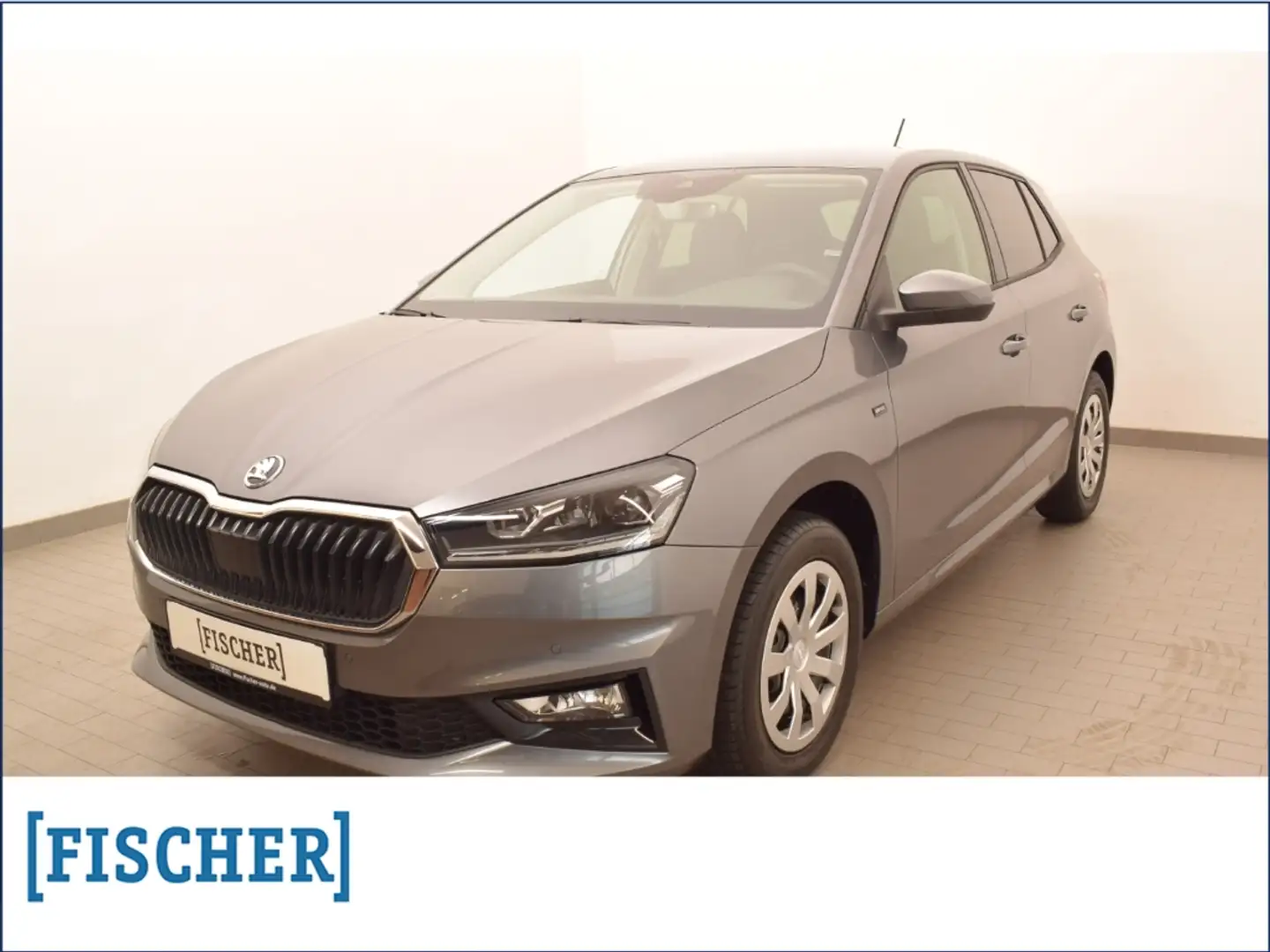 Skoda Fabia 1.0TSI Selection LED SHZ Rear View PDC Vorber. Grau - 1