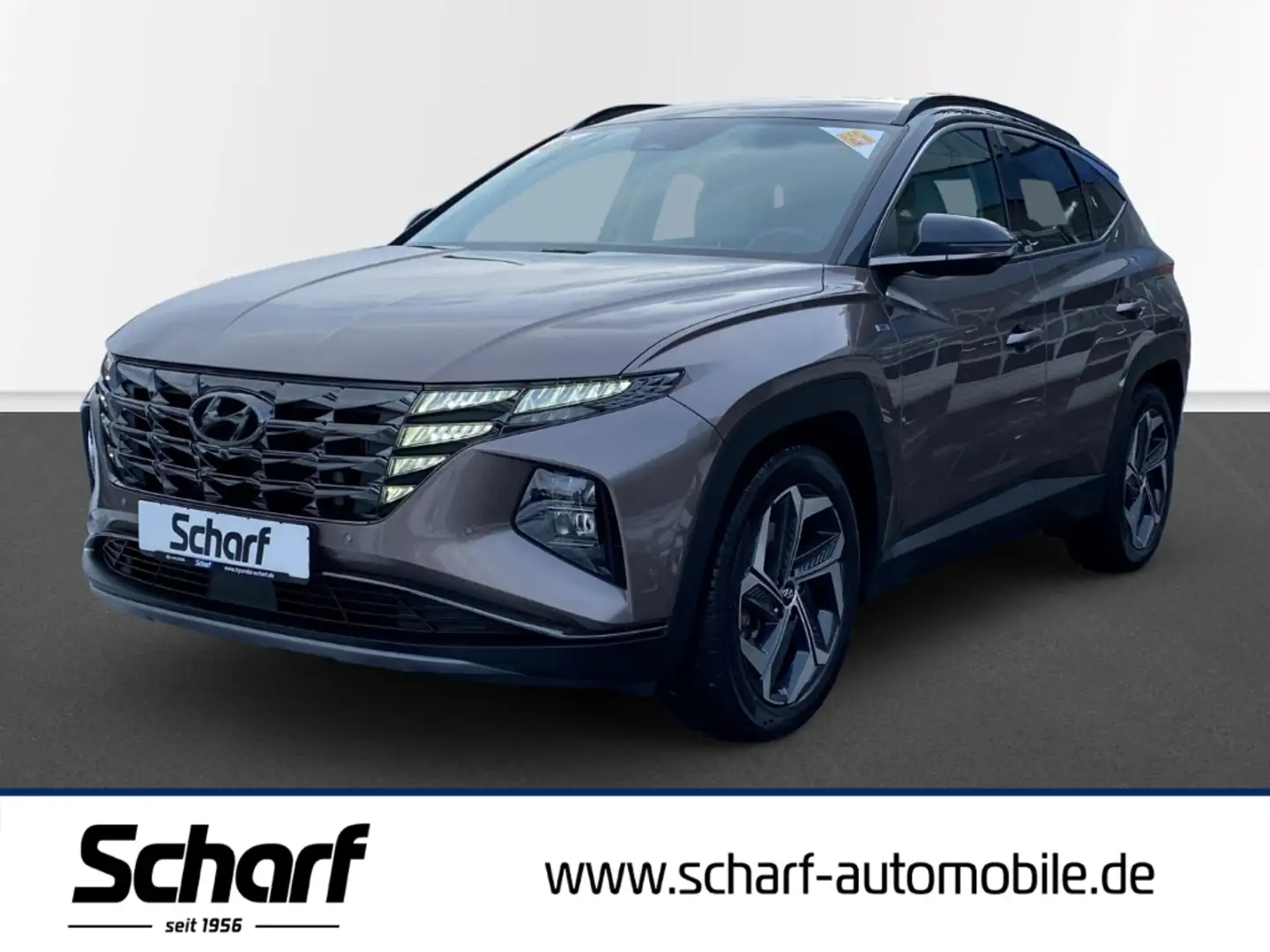 Hyundai TUCSON Mild-Hybrid Prime Navi Leder Digitales Cockpit Bronze - 1