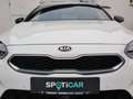 Kia Ceed / cee'd SW 1.4 T-GDI OPF GT Line,Sitzheizung,Navigation - thumbnail 2