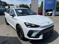 CUPRA Leon Sportstourer 1.5 eTSI AHK, Matrix Weiß - thumbnail 3