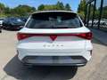 CUPRA Leon Sportstourer 1.5 eTSI AHK, Matrix Weiß - thumbnail 5