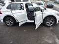 Volkswagen Tiguan 2.0 TDI DSG R-LINE *MATRIX*VIRTUAL*ACC*KAMERA Wit - thumbnail 28