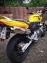 Honda CB 600 Hornet 600 cb Yellow - thumbnail 11
