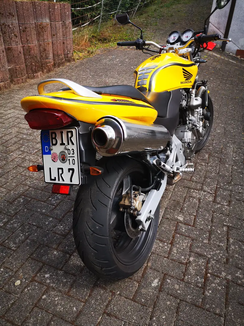 Honda CB 600 Hornet 600 cb Жовтий - 2