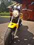 Honda CB 600 Hornet 600 cb žuta - thumbnail 7