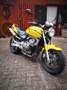 Honda CB 600 Hornet 600 cb Жовтий - thumbnail 12
