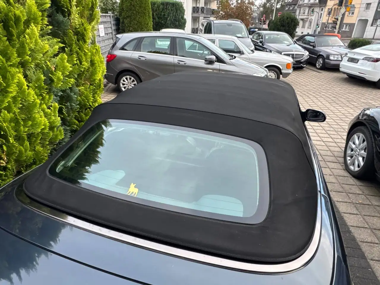 Mercedes-Benz CLK 230 Cabrio AMG 17 Zoll, foto 10