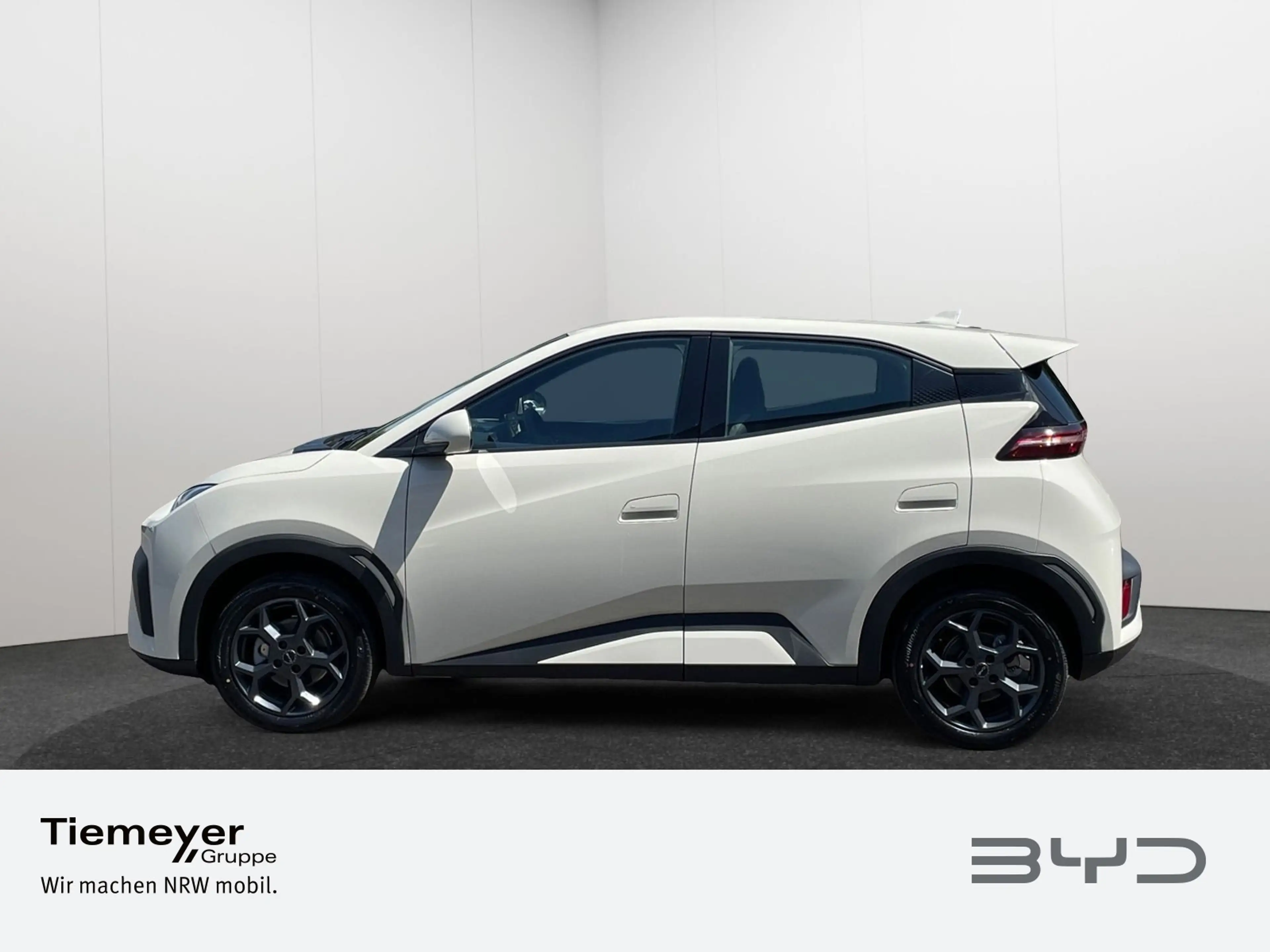 BYD Dolphin Surf Boost MJ 26 43 kWh Batt. — photo 8
