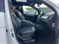 Mercedes-Benz GLE 250 d 4Matic+Panorama+360°Kamera+LED+TUV neu Blanc - thumbnail 14