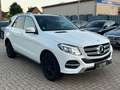 Mercedes-Benz GLE 250 d 4Matic+Panorama+360°Kamera+LED+TUV neu Blanc - thumbnail 7