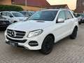 Mercedes-Benz GLE 250 d 4Matic+Panorama+360°Kamera+LED+TUV neu Blanc - thumbnail 1