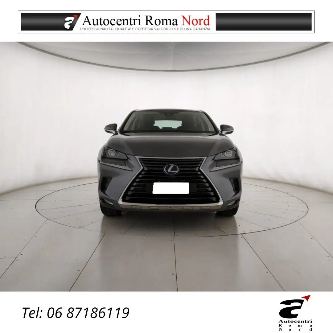 Lexus NX 300 300h 2.5 Premium 4wd cvt Gris - 2