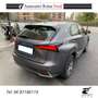 Lexus NX 300 300h 2.5 Premium 4wd cvt Gri - thumbnail 12