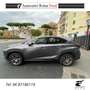 Lexus NX 300 300h 2.5 Premium 4wd cvt Gri - thumbnail 3