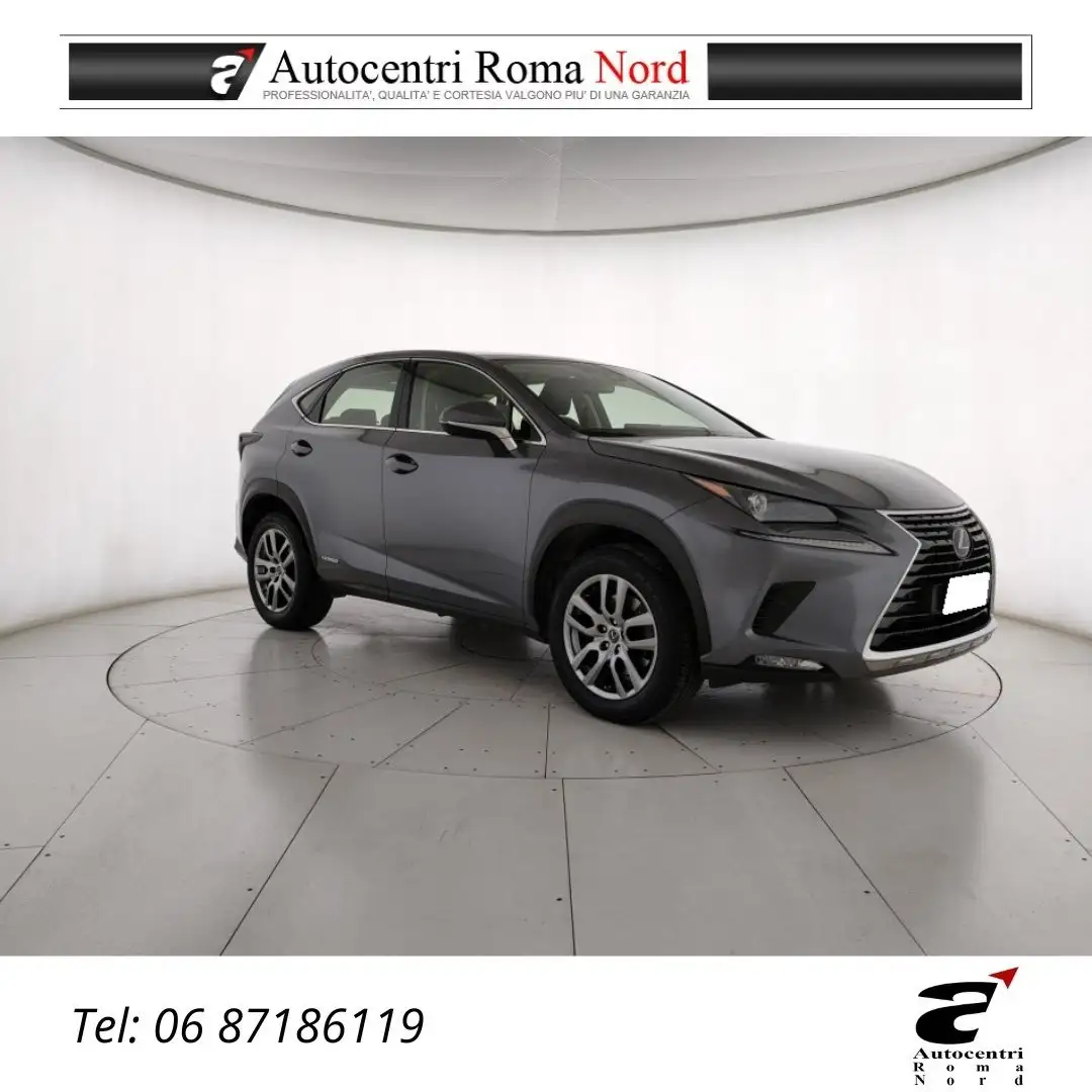 Lexus NX 300 300h 2.5 Premium 4wd cvt Gris - 1