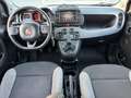 Fiat Panda Panda III 2021 1.0 firefly hybrid Sport s Nero - thumbnail 10