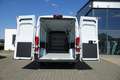 Opel Movano Transporter 35 verstärkt L4H2 180PS AT UPEca55700 Білий - thumbnail 4