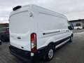 Ford Transit L3H2 Trend, 2.0 TDCi, EU 6 Weiß - thumbnail 4