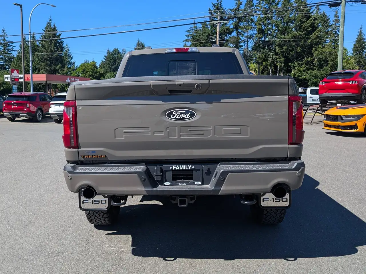 Ford F 150 снимка Ford F 150
