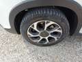 Fiat 500L 500L Cross 1.4 s&s 95cv my20 Blanco - thumbnail 8