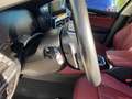 BMW X4 X4 xdrive20d mhev 48V xLine auto Pelle Cartier Grigio - thumbnail 9