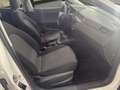 SEAT Ibiza 1.6 TDI 70kW (95CV) Reference Business Blanco - thumbnail 18