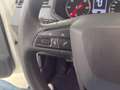 SEAT Ibiza 1.6 TDI 70kW (95CV) Reference Business Blanc - thumbnail 31