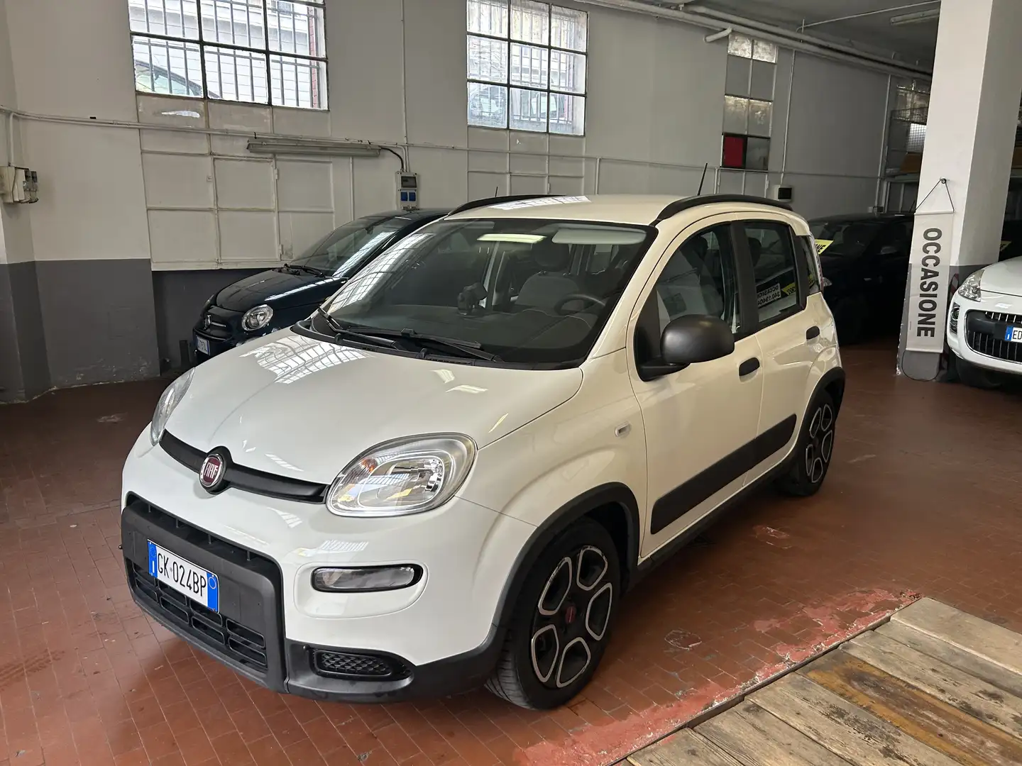 Fiat Panda 1.0 firefly hybrid s&s 70cv - 2
