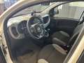 Fiat Panda 1.0 firefly hybrid s&s 70cv - thumbnail 13