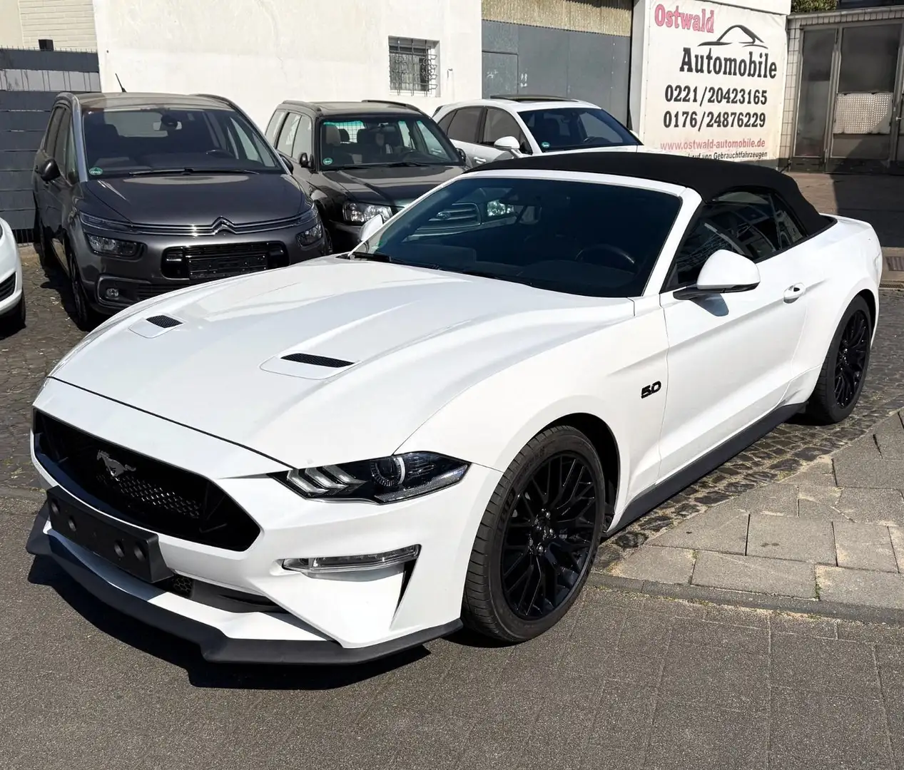 Ford Mustang 5.0 GT V8 Convertible Cabrio 1.Hand D.Fz Weiß - 1