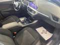 BMW 116 Serie 1 F40 116d Business Advantage auto Grigio - thumbnail 8
