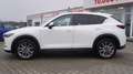Mazda CX-5 2.5 Exclusive-Line 2WD LED Navi AHK Kamera Weiß - thumbnail 6