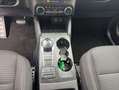 Ford Kuga 2.5 Duratec PHEV TITANIUM Grau - thumbnail 12