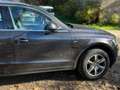 Audi Q5 2.0TDI quattro S-Tronic 177 Negro - thumbnail 3