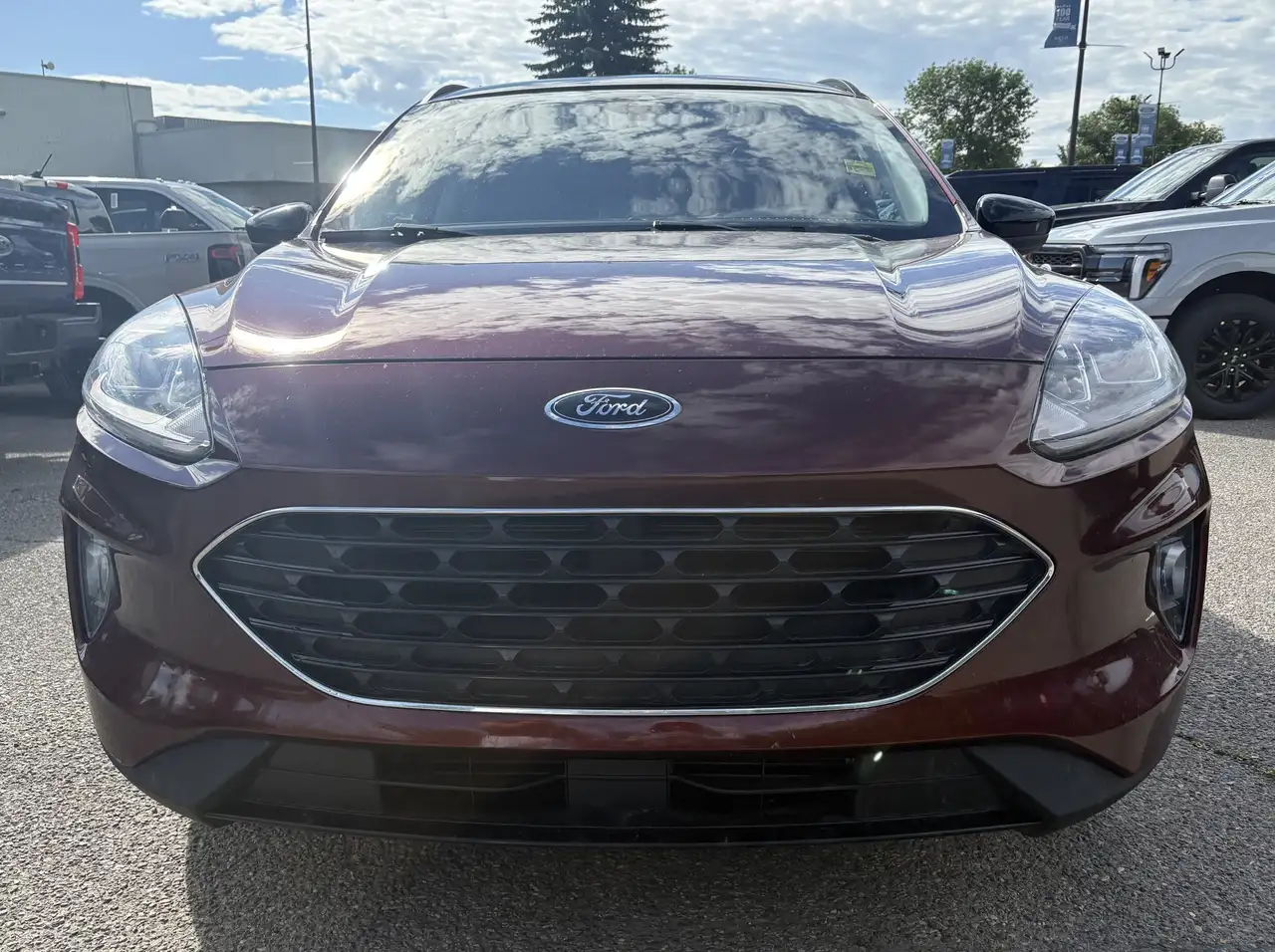 Ford Escape photo Ford Escape