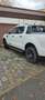 Ford Ranger Ranger Doppelkabine Limited 4x4 2,0 EcoBlue Aut. L Weiß - thumbnail 1