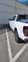Ford Ranger Ranger Doppelkabine Limited 4x4 2,0 EcoBlue Aut. L Weiß - thumbnail 4