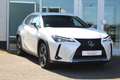 Lexus UX 250h Hybrid Comfort Line I Parelwit I Applecarplay I Ca Wit - thumbnail 8