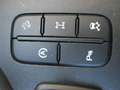 Ford Ranger + IVA !!! OK NEOPATENTATI 2.0 TDCi DC Limited Grijs - thumbnail 9
