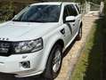 Land Rover Freelander Freelander 2.2 ed4 SE 2wd 150cv Bianco - thumbnail 2