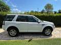 Land Rover Freelander Freelander 2.2 ed4 SE 2wd 150cv Bianco - thumbnail 3