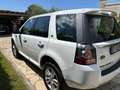 Land Rover Freelander Freelander 2.2 ed4 SE 2wd 150cv Bianco - thumbnail 5